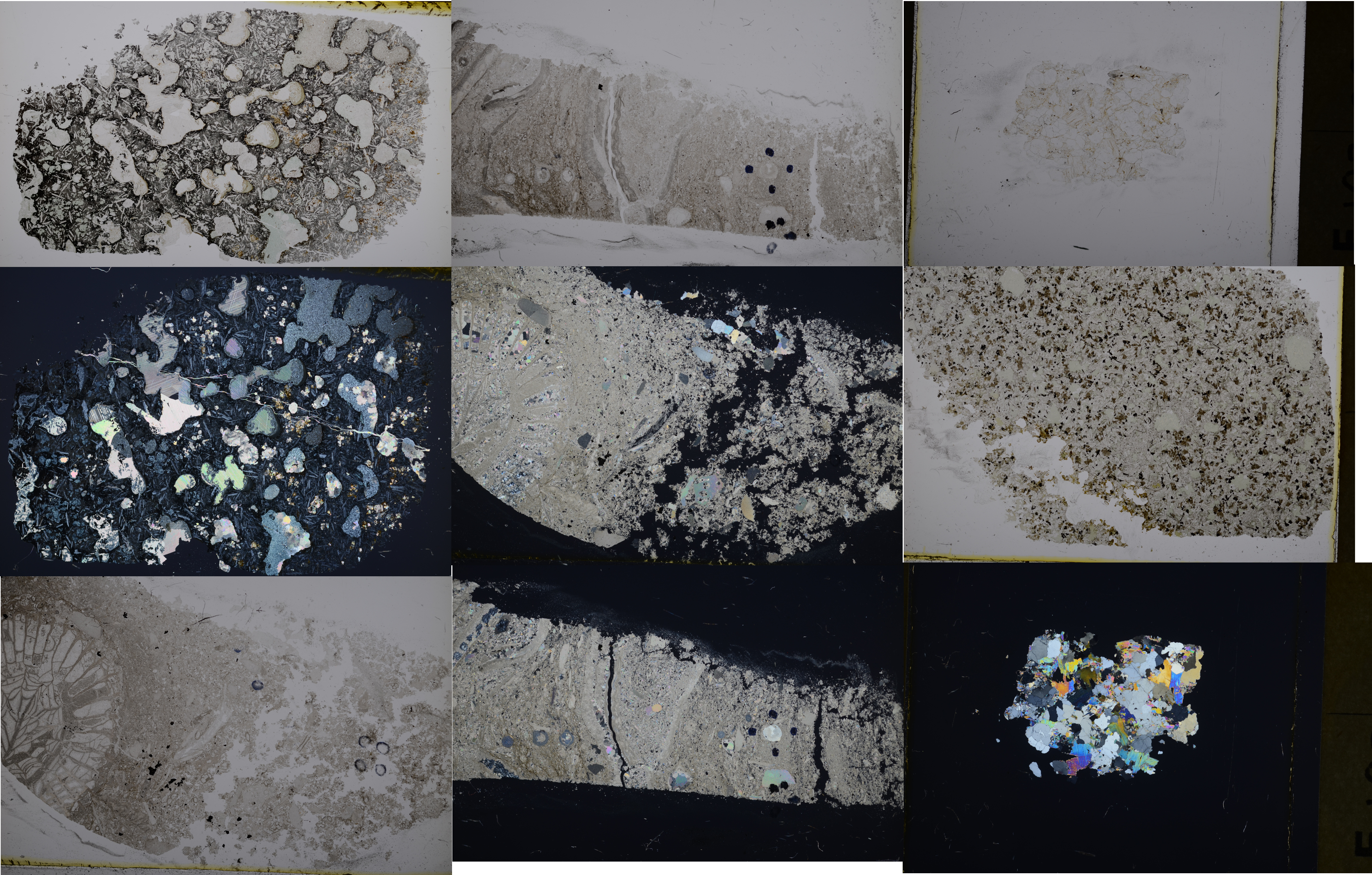 example of thin section images