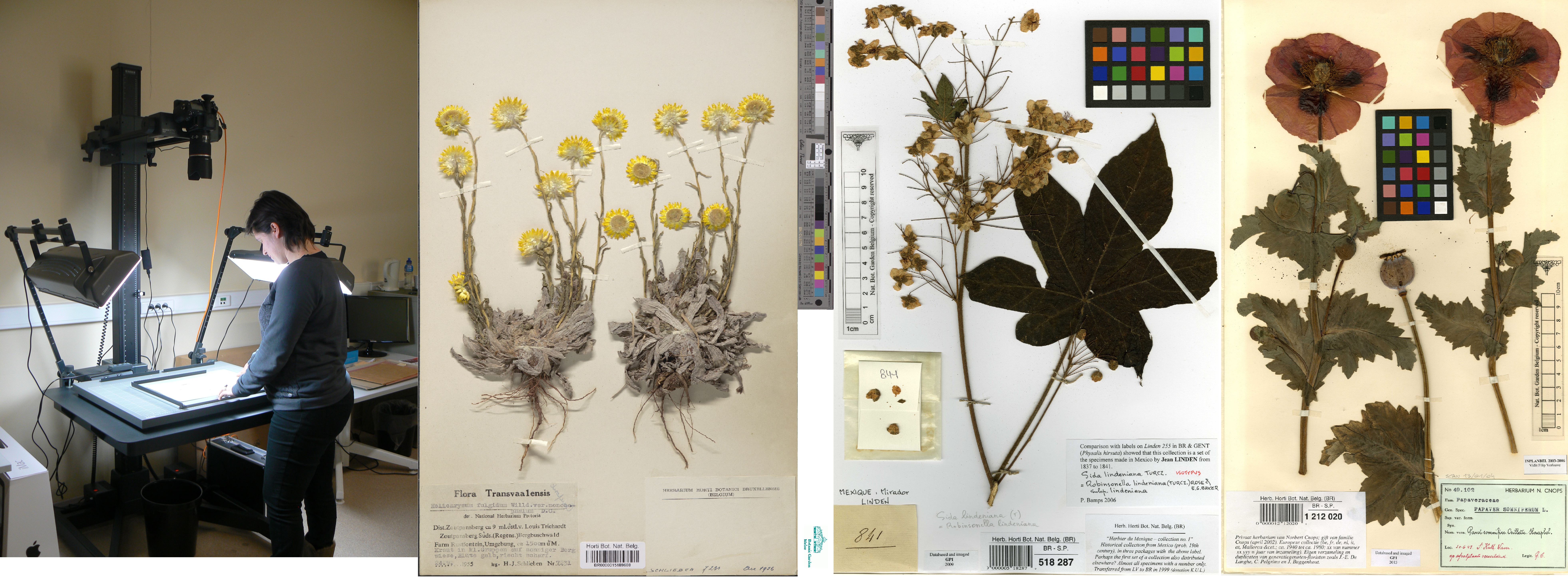camera and examples of digitised specimens