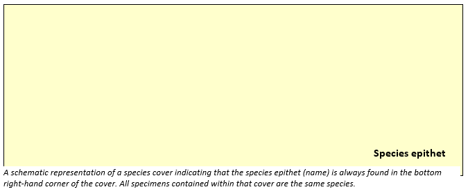Species cover overview