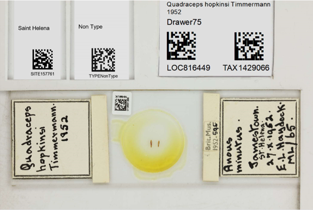 Image shows a slide with country, non-type, drawer location and taxonomy barcodes