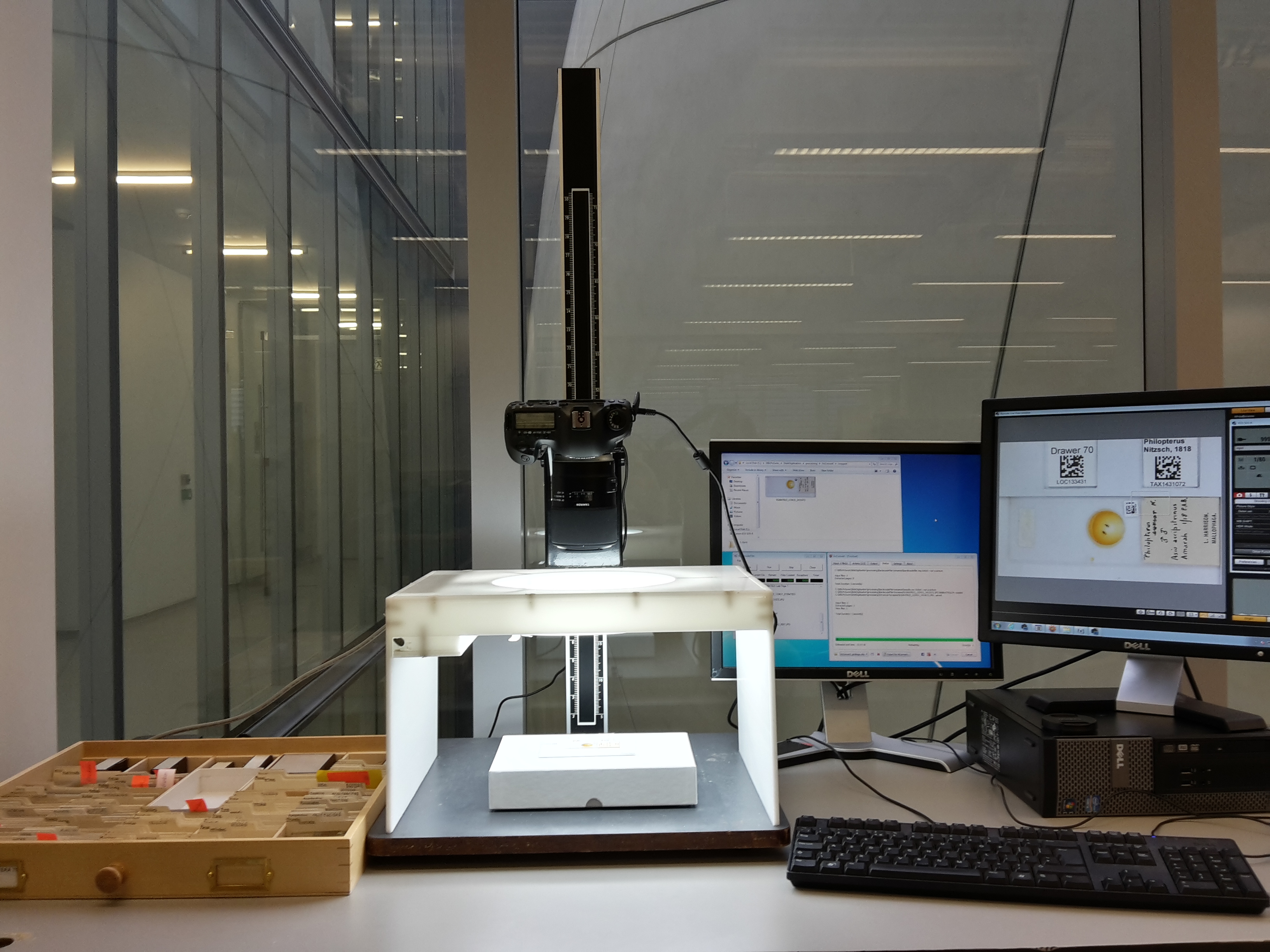 a picture of a digitisation station. On the lefthand side, there is a drawer of microscope slides. In the middle, there is a digitisation station, with a camera held on a copy stand above a lightbox. On the righthand side are two monitors, one which shows the picture that will be captured by the camera: in this case a microscope slide.