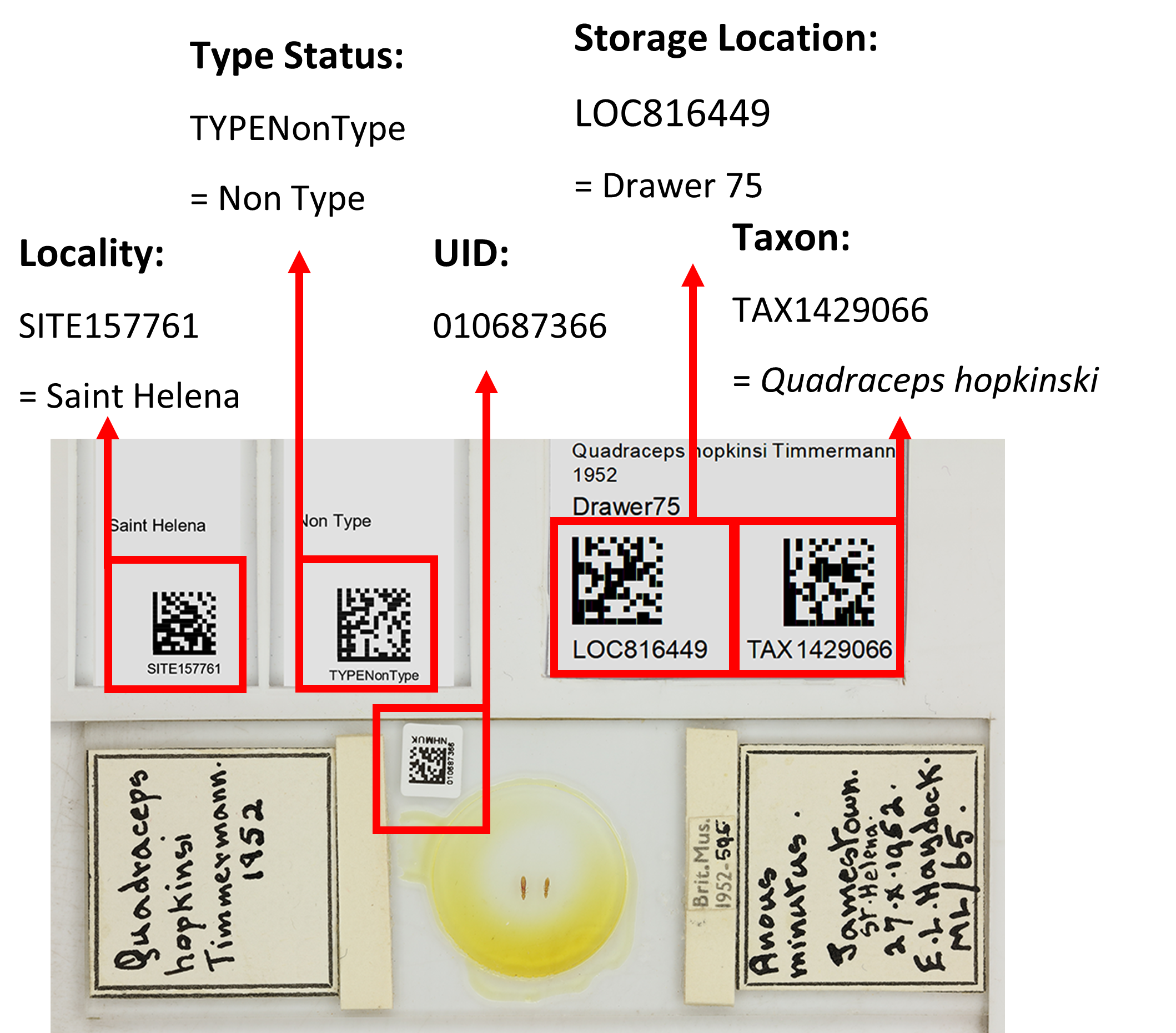 annotated barcode image